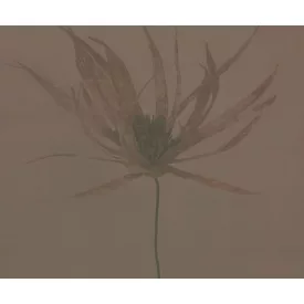 Wall&Deco  CWC  Flower and Paints