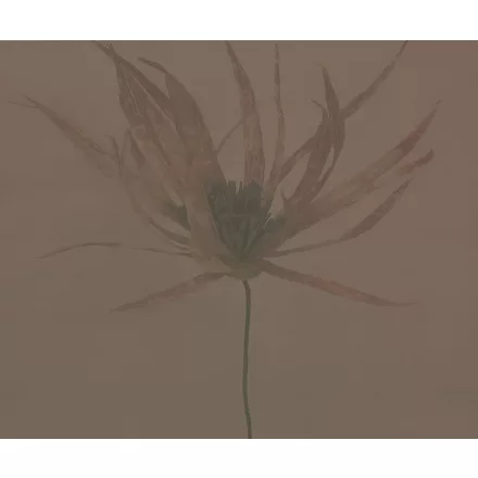 Wall&Deco  CWC  Flower and Paints