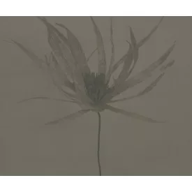 Wall&Deco  CWC  Flower and Paints