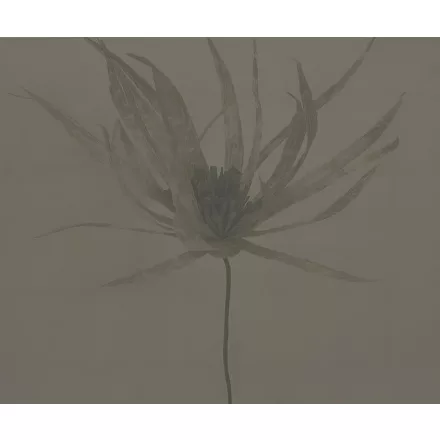 Wall&Deco  CWC  Flower and Paints