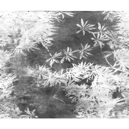 Wall&Deco  CWC  Flower and Paints