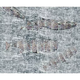 Wall&Deco  CWC  Animals