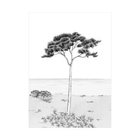 Casadeco / Wonderwalls2 tapéta