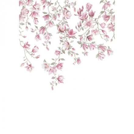 Casadeco / Wonderwalls2 tapéta