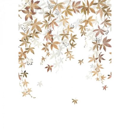 Casadeco / Wonderwalls2 tapéta