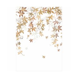 Casadeco / Wonderwalls2 tapéta