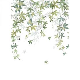 Casadeco / Wonderwalls2 tapéta