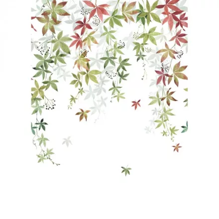 Casadeco / Wonderwalls2 tapéta