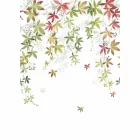 Casadeco / Wonderwalls2 tapéta