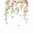 Casadeco / Wonderwalls2 tapéta