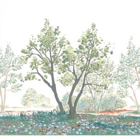 Casadeco / Wonderwalls2 tapéta