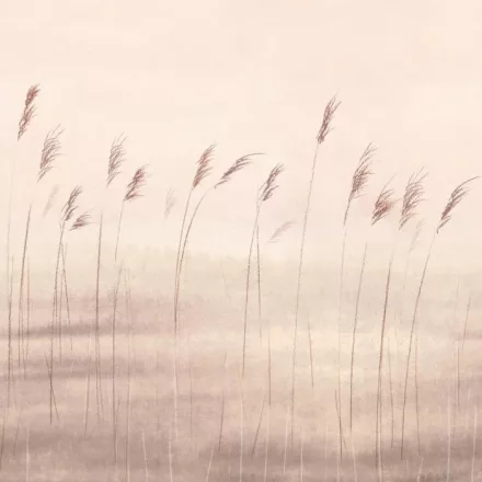 Casadeco / Wonderwalls2 tapéta