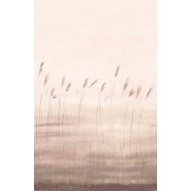 Casadeco / Wonderwalls2 tapéta