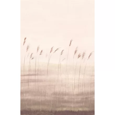 Casadeco / Wonderwalls2 tapéta