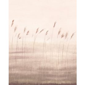 Casadeco / Wonderwalls2 tapéta