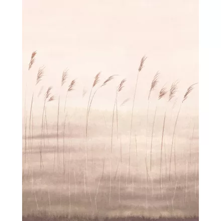 Casadeco / Wonderwalls2 tapéta