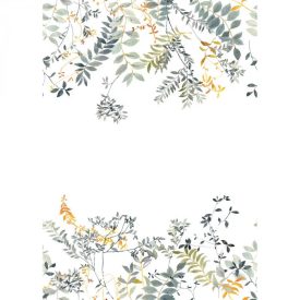 Casadeco / Wonderwalls2 tapéta