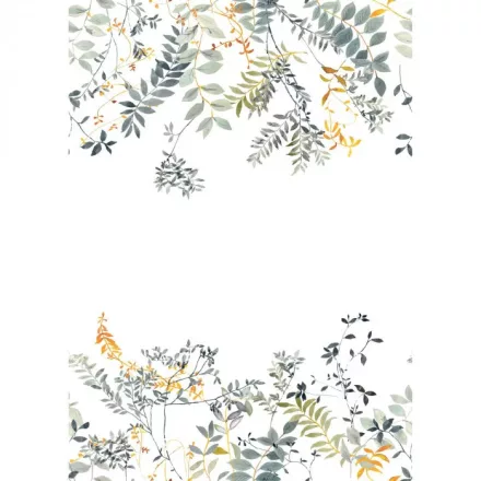 Casadeco / Wonderwalls2 tapéta