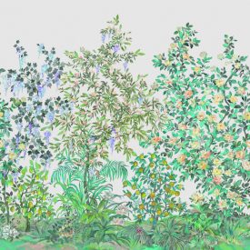 Casadeco / Wonderwalls2 tapéta