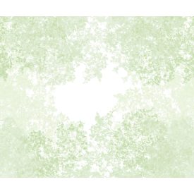 Casadeco / Wonderwalls2 tapéta