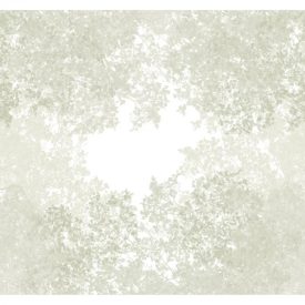 Casadeco / Wonderwalls2 tapéta