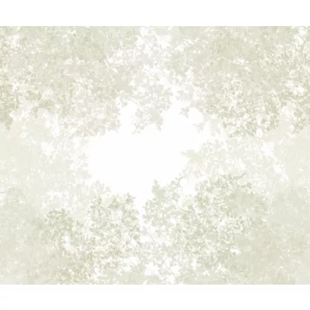 Casadeco / Wonderwalls2 tapéta