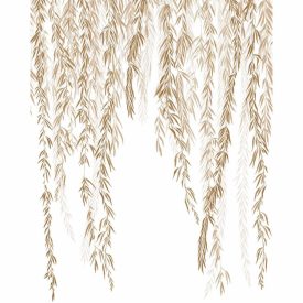 Casadeco / Wonderwalls2 tapéta