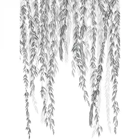 Casadeco / Wonderwalls2 tapéta