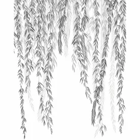 Casadeco / Wonderwalls2 tapéta