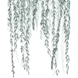 Casadeco / Wonderwalls2 tapéta