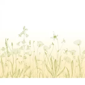 Casadeco / Wonderwalls2 tapéta