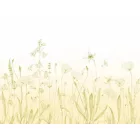 Casadeco / Wonderwalls2 tapéta