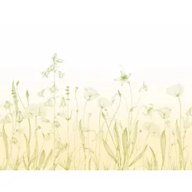 Casadeco / Wonderwalls2 tapéta