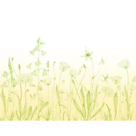 Casadeco / Wonderwalls2 tapéta