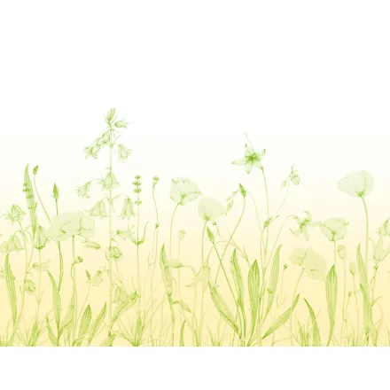 Casadeco / Wonderwalls2 tapéta