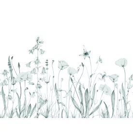 Casadeco / Wonderwalls2 tapéta