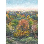 Casadeco / Wonderwalls tapéta