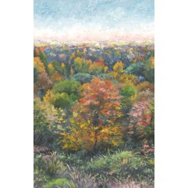 Casadeco / Wonderwalls tapéta