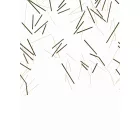 Casadeco / Wonderwalls tapéta