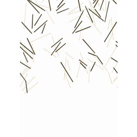 Casadeco / Wonderwalls tapéta