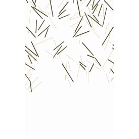 Casadeco / Wonderwalls tapéta