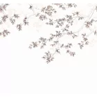 Casadeco / Wonderwalls tapéta