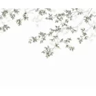 Casadeco / Wonderwalls tapéta