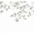 Casadeco / Wonderwalls tapéta