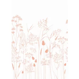 Casadeco / Wonderwalls tapéta