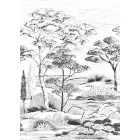 Casadeco / Wonderwalls tapéta