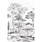 Casadeco / Wonderwalls tapéta