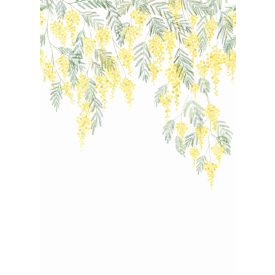 Casadeco / Wonderwalls tapéta