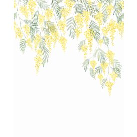 Casadeco / Wonderwalls tapéta