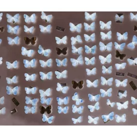 Wall&Deco  CWC  Animals